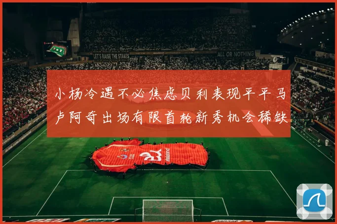 小杨冷遇不必焦虑贝利表现平平马卢阿奇出场有限首轮新秀机会稀缺