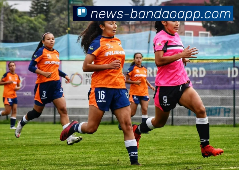 半岛体育APP 高清赛事图